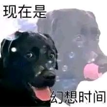 有没有好心人把这游戏物品代码整理一下截图
