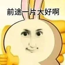 萌新选择求助截图
