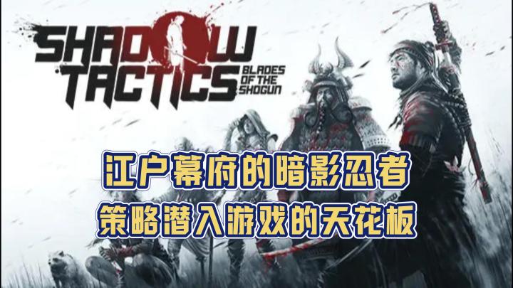 《影子战术：将军之刃》：忍者之道义，暗影般潜入💥截图