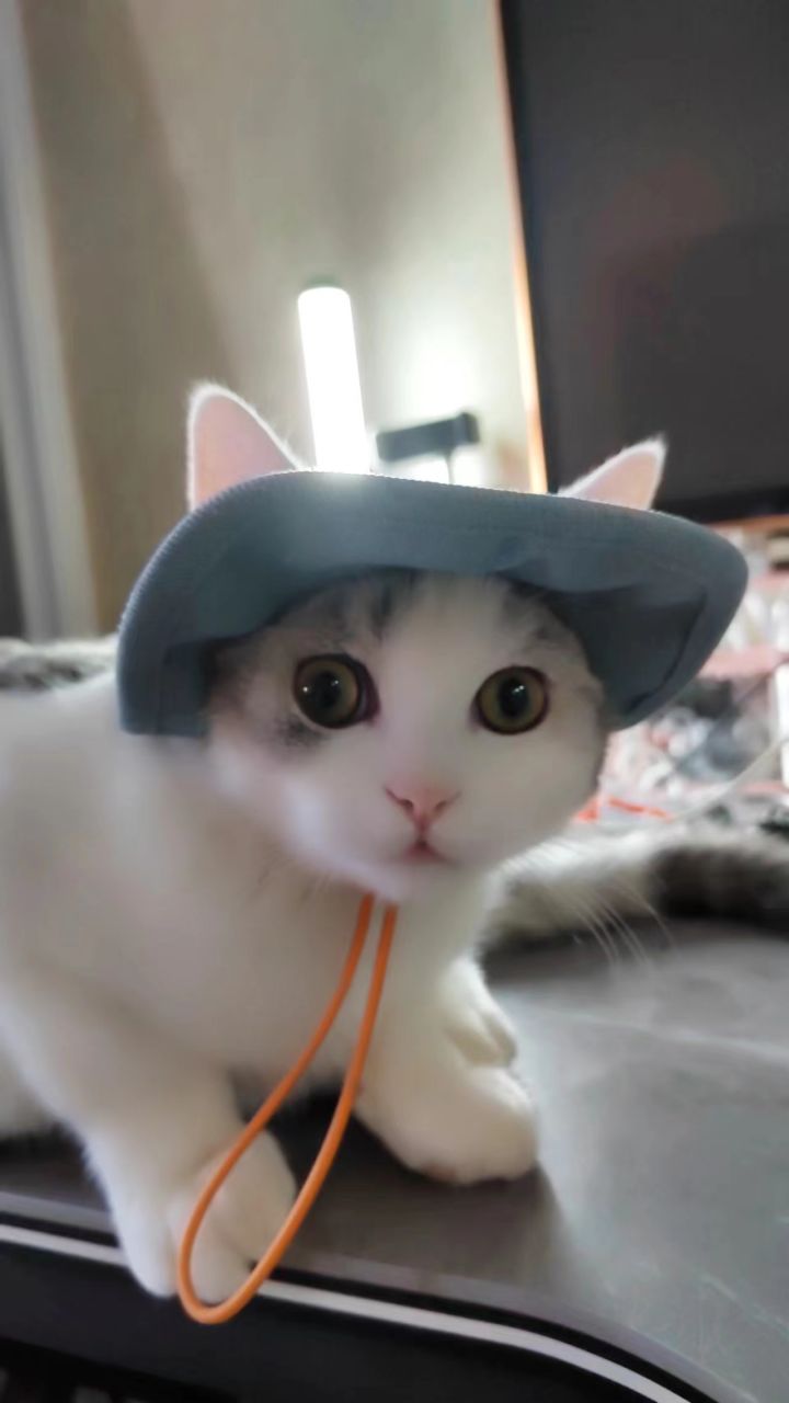 激活码与补偿截图