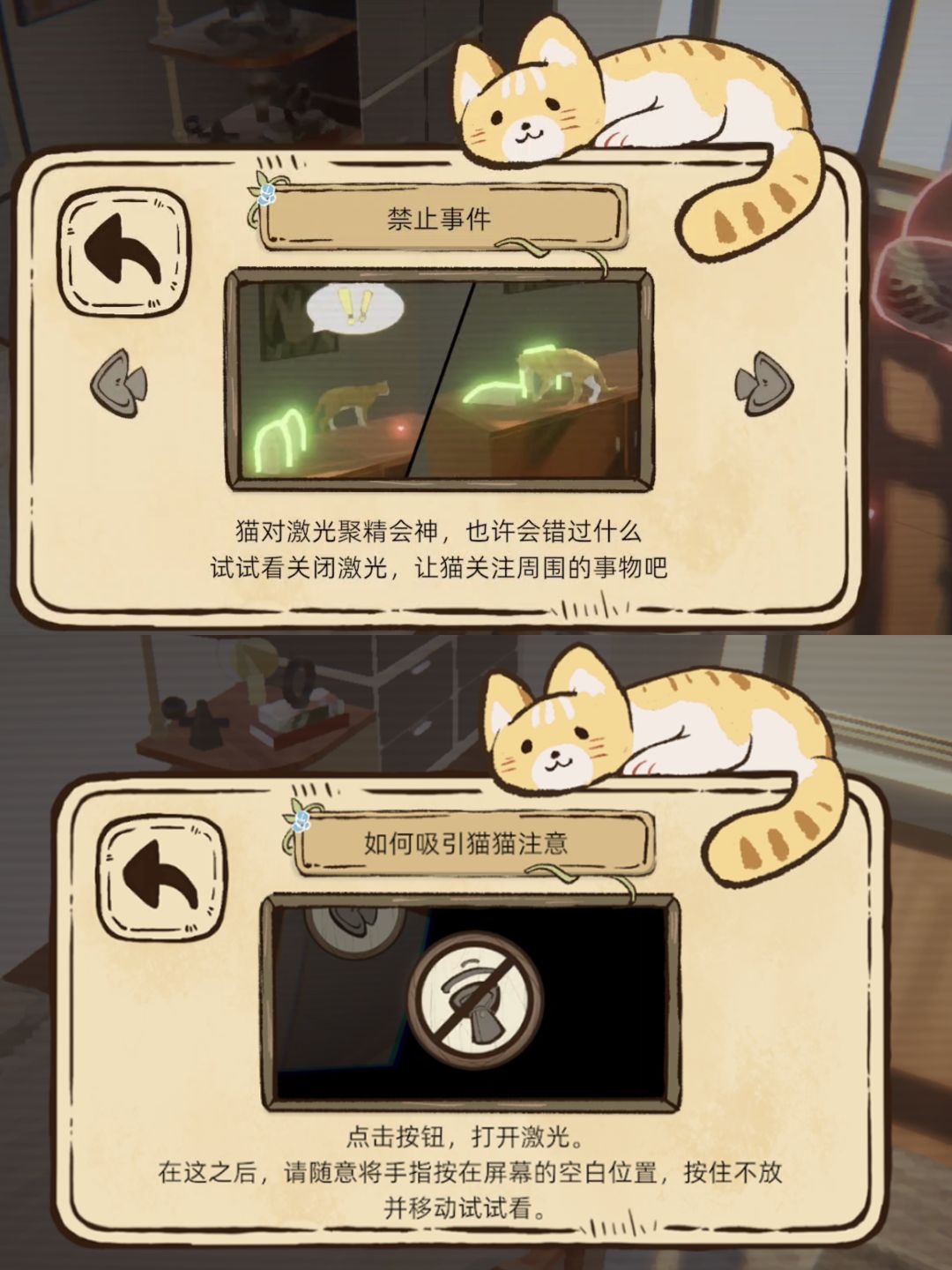 【聚光灯💡安利】找不到工作😨只能去照顾猫猫 3