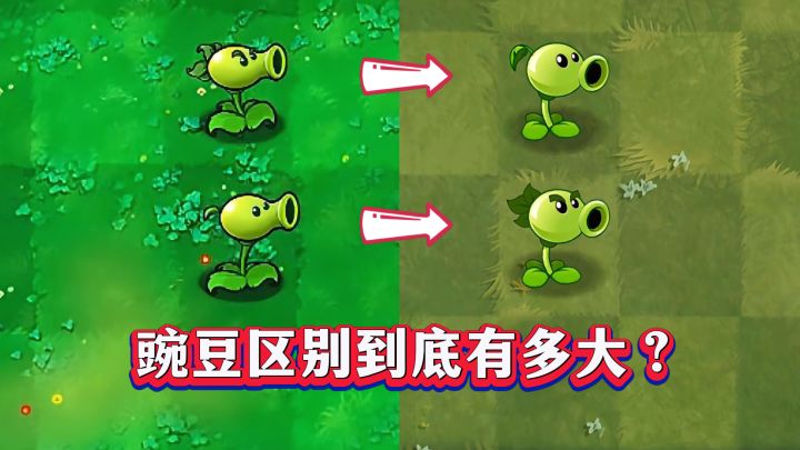 双重射手=豌豆射手×2？实测后，这差距太离谱！截图