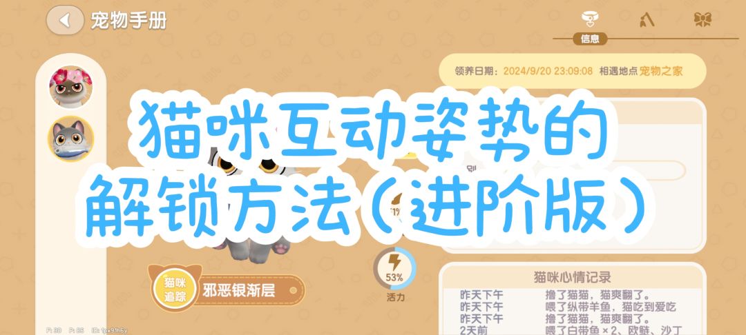 猫咪互动姿势的解锁方法(进阶版) 1