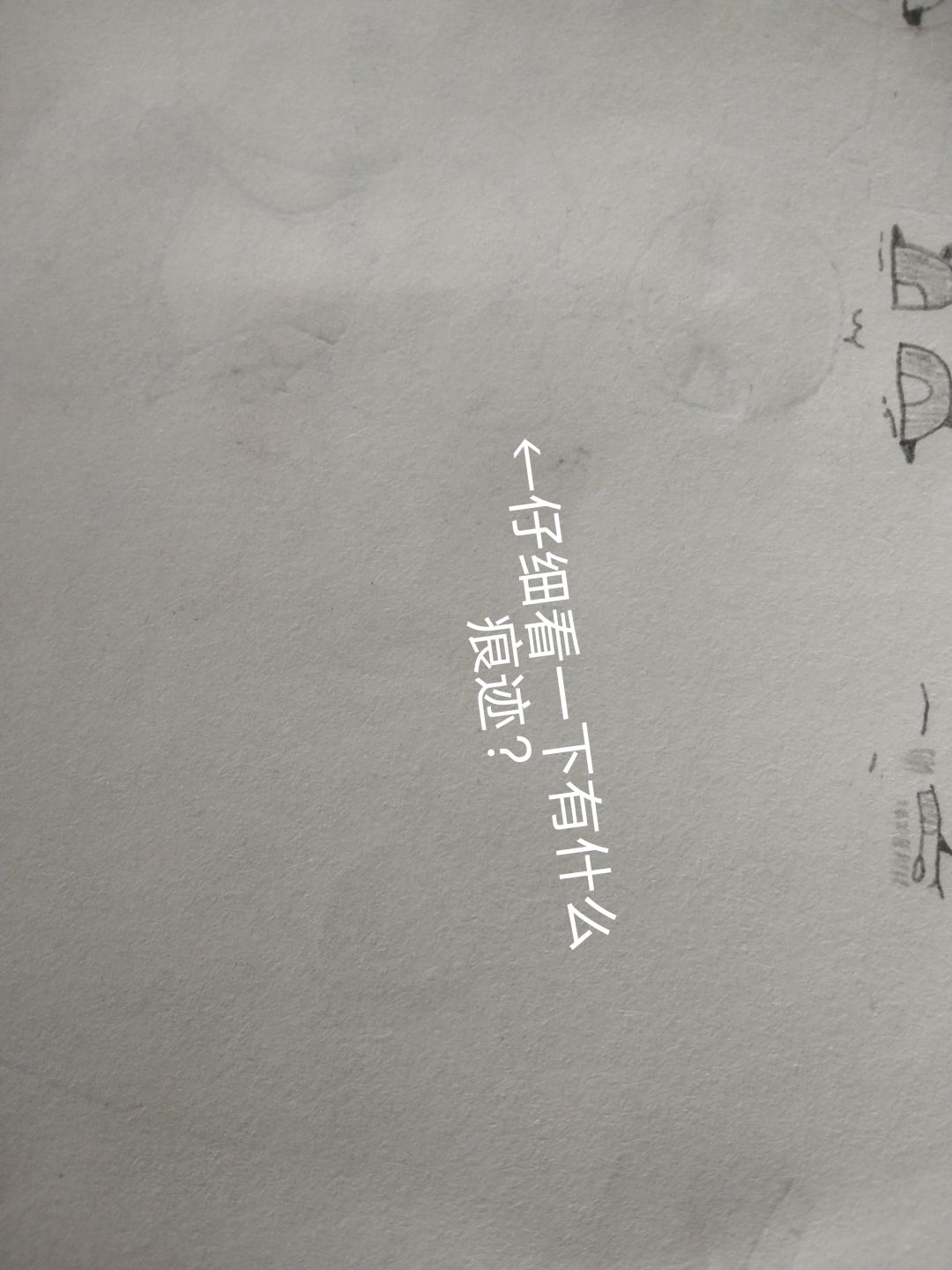 变坦生物档案延更… 2