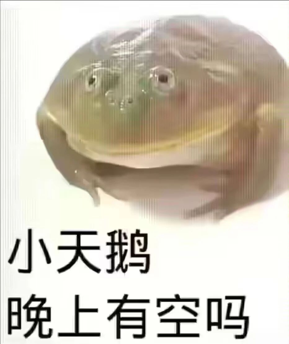 花火嘿嘿嘿~嘿嘿 2