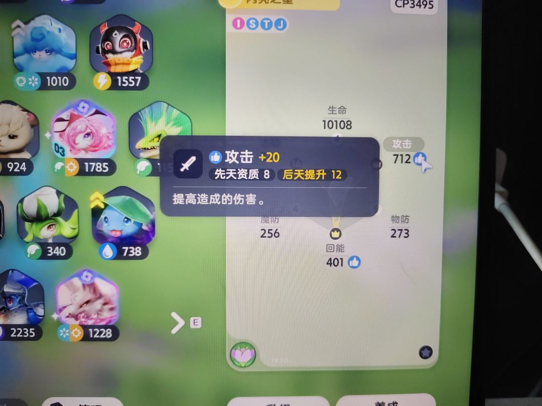 传说彩虹鸢尾资质双8 2