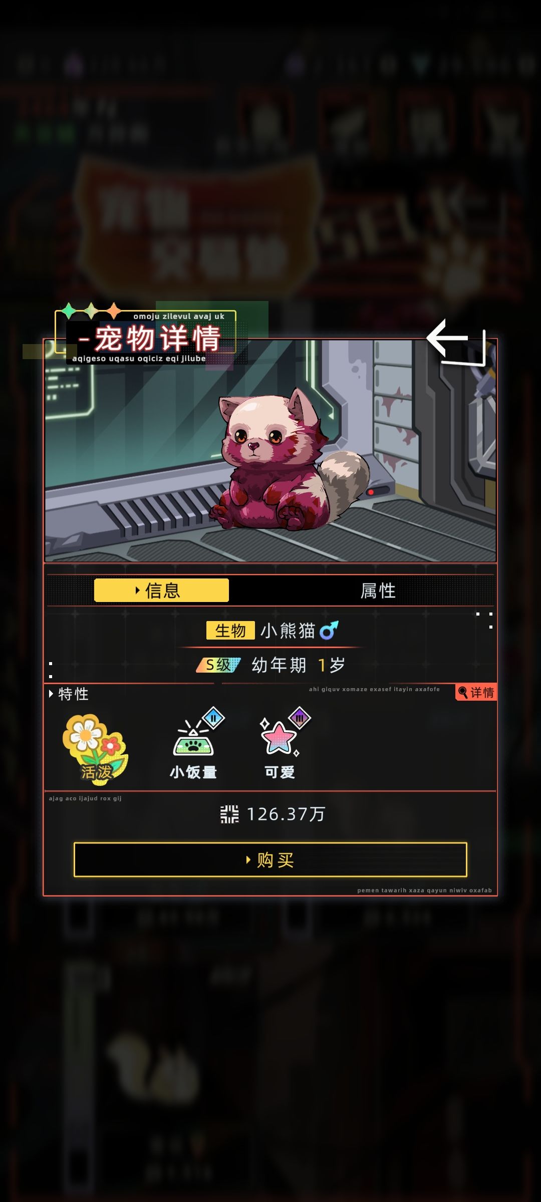 新宠物 [小熊猫]和[可可罗] 5