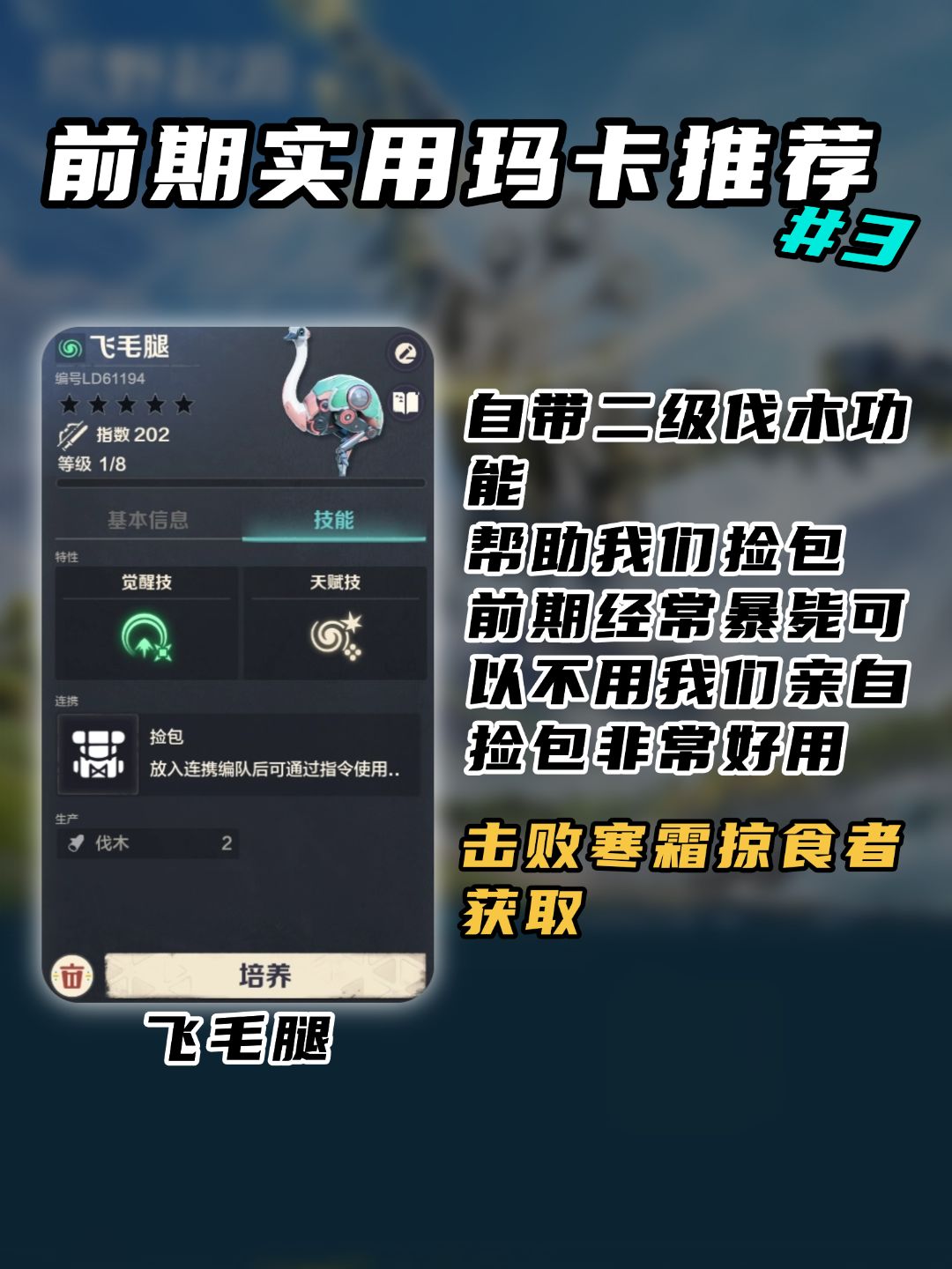 玛卡竟然能帮我们做这么多事情！ 4