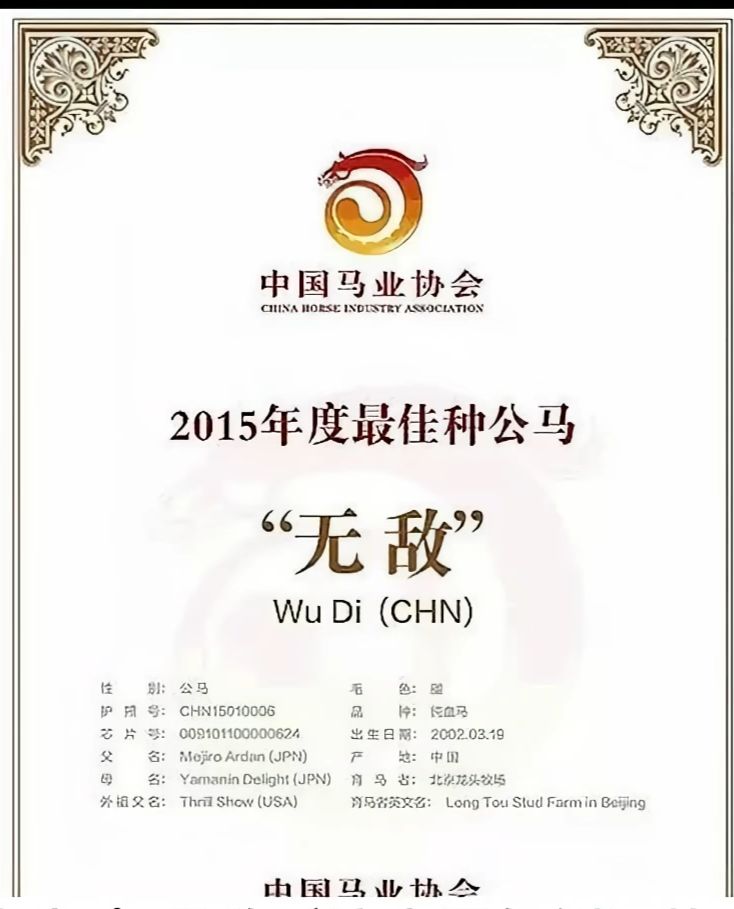 闪耀优俊少女!雅丹,9速中国好媳妇已就位 8