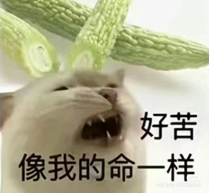 不是,八十保底八十歪?截图