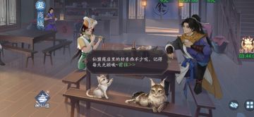 最佳5稀有+1阴阳阵容搭配