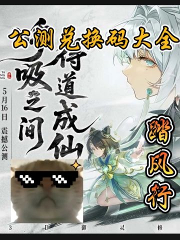 【踏风行】公测礼包兑换码大全！