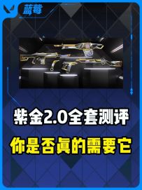 紫金2.0全套测评，你是否真的需要