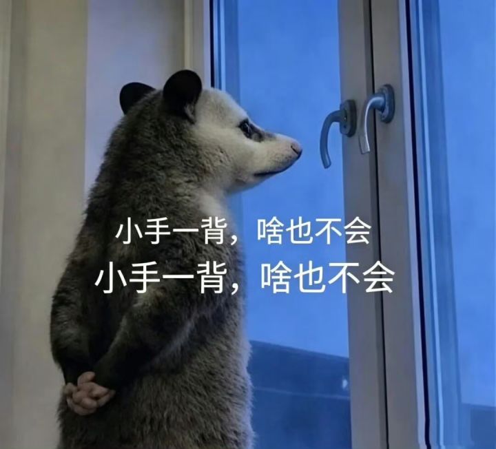 新角色爆料!背手发呆剪影被指撞脸表情包截图