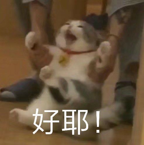 啊哈哈哈哈退坑五个月，刚回归第一发十连直接出了诗寇蒂[表情_大笑]我宣布深空之眼是最好玩的arpg二游[表情_大笑]这下子直接可以凑出来两个队伍了[表情_大笑]剩余的资源还能抽别的队伍[表情_大笑]这就是我当时连新手活动都没打完就不玩的回归福利么[表情_大笑]截图