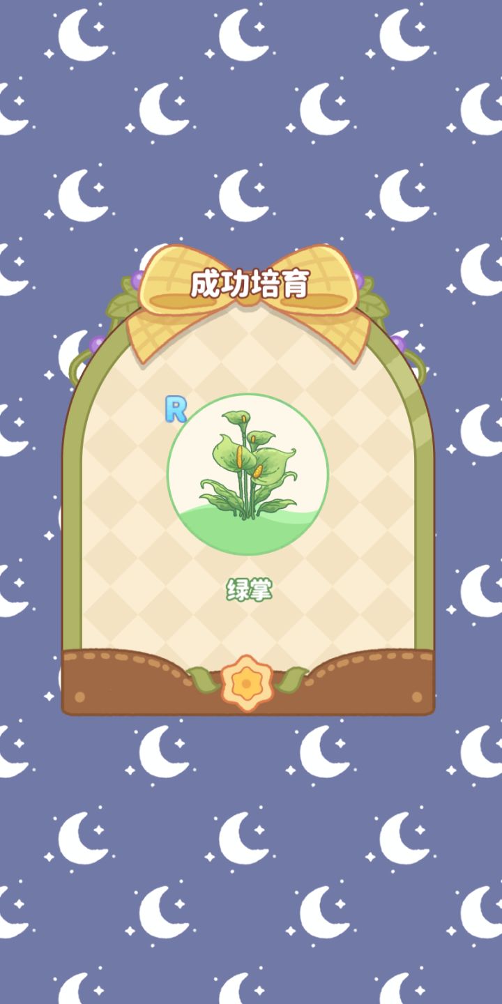 我在小岛的日常截图