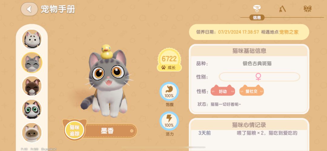 大团圆 6