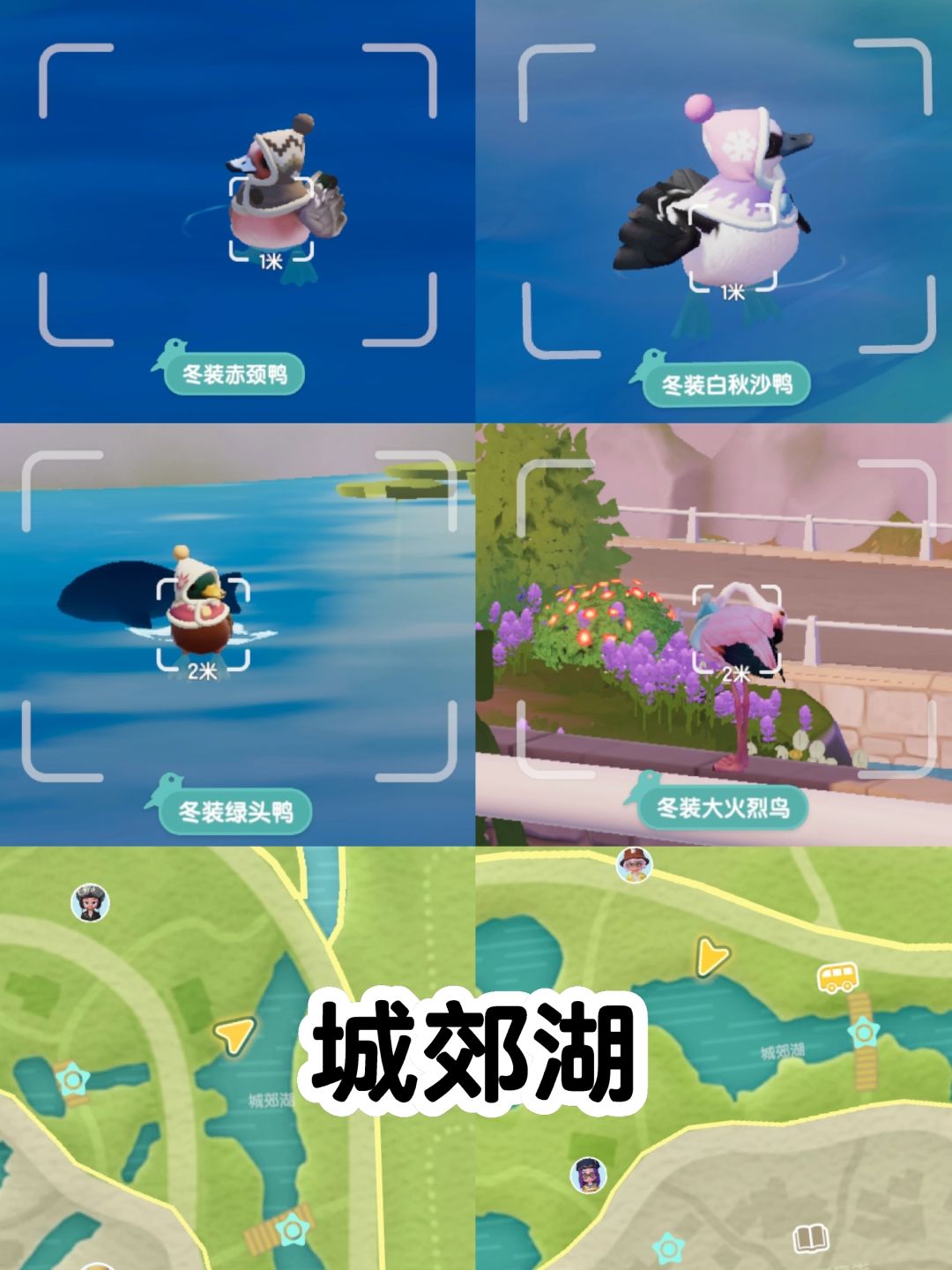 心动小镇|冰雪季抓虫观鸟钓鱼蘑菇位置 2