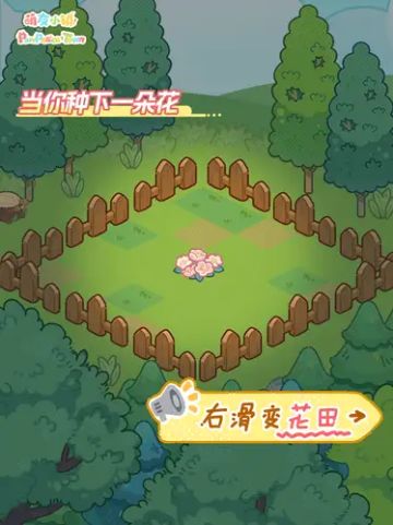 当你种下一朵心爱的花，会收获什么呢😊