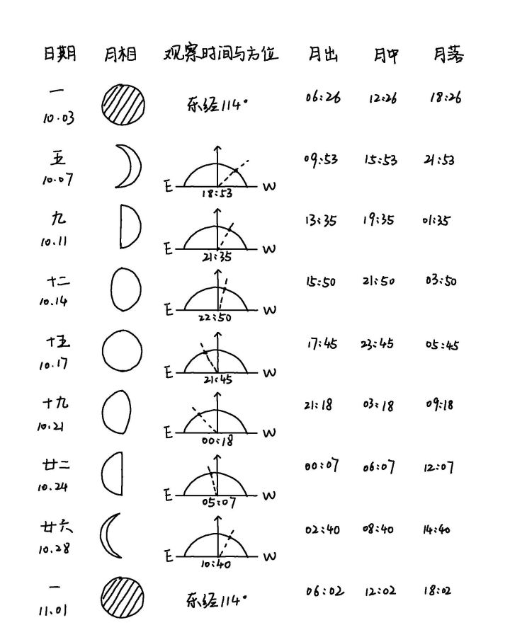 观月🌙活动截图