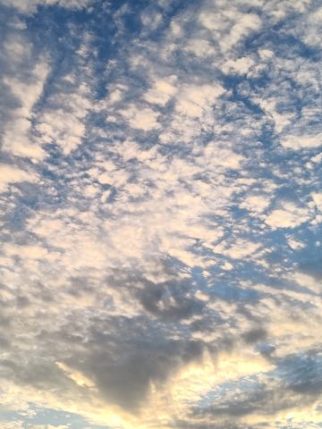 夏日昆虫⚠昆虫警告