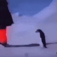 (′д｀ )…截图
