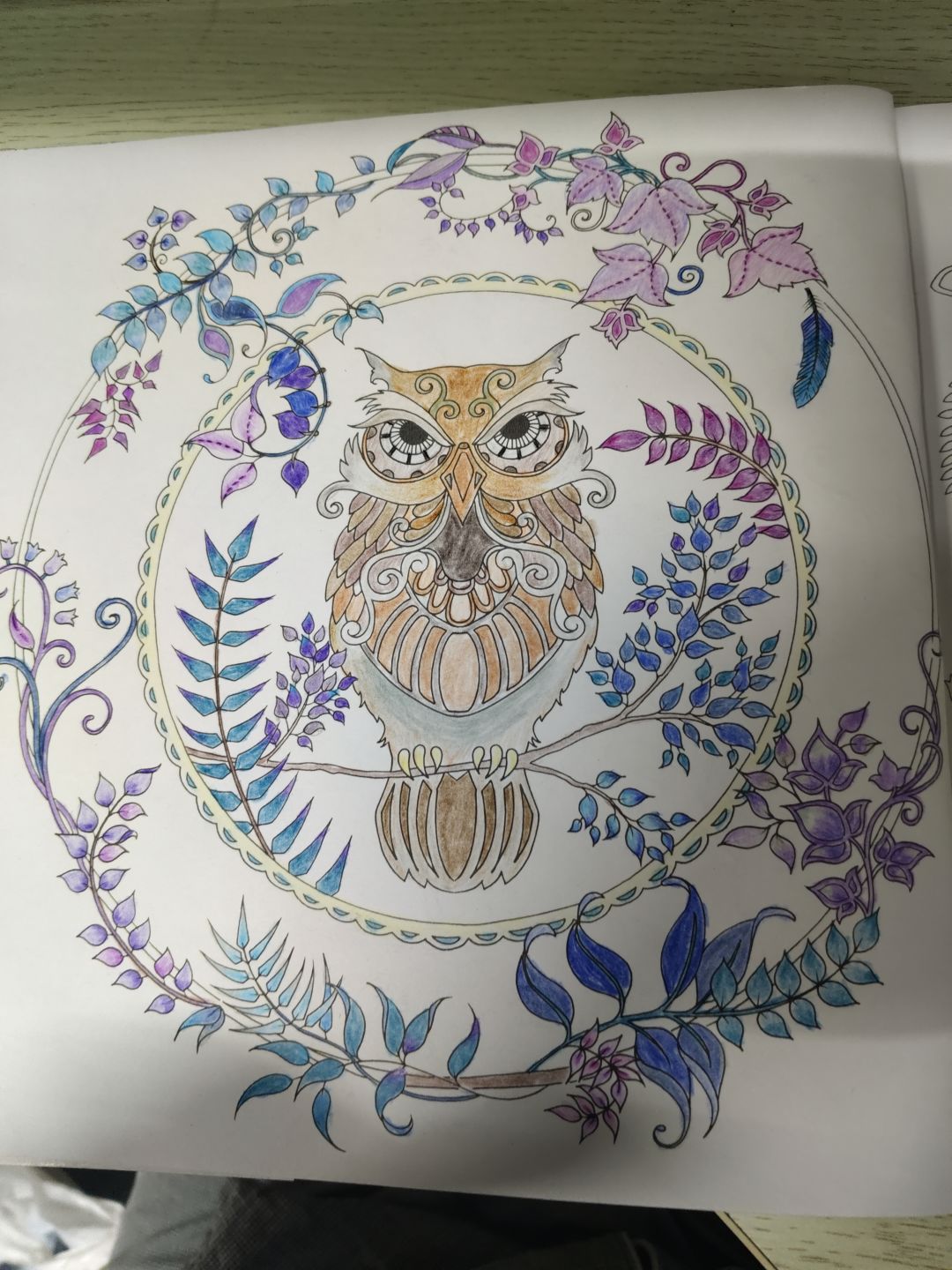 解压&绘画&初具雏形 1