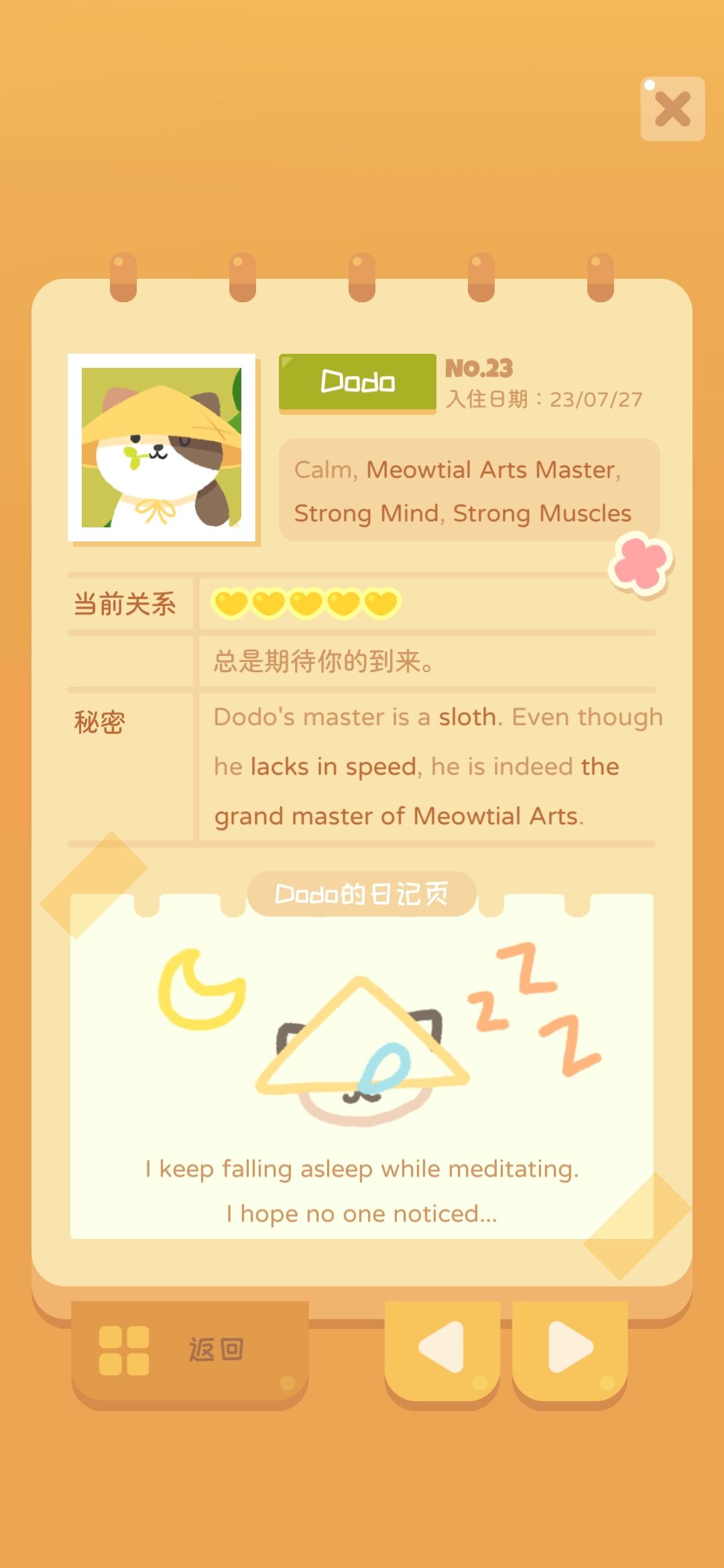 三个新猫 3