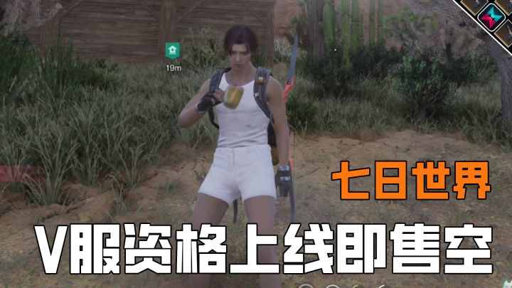 七日世界都想当服主,V服资格上线就秒空截图