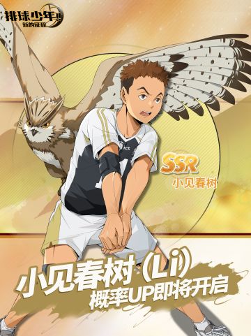 球员招募预告丨小见春树 2月20日登场！