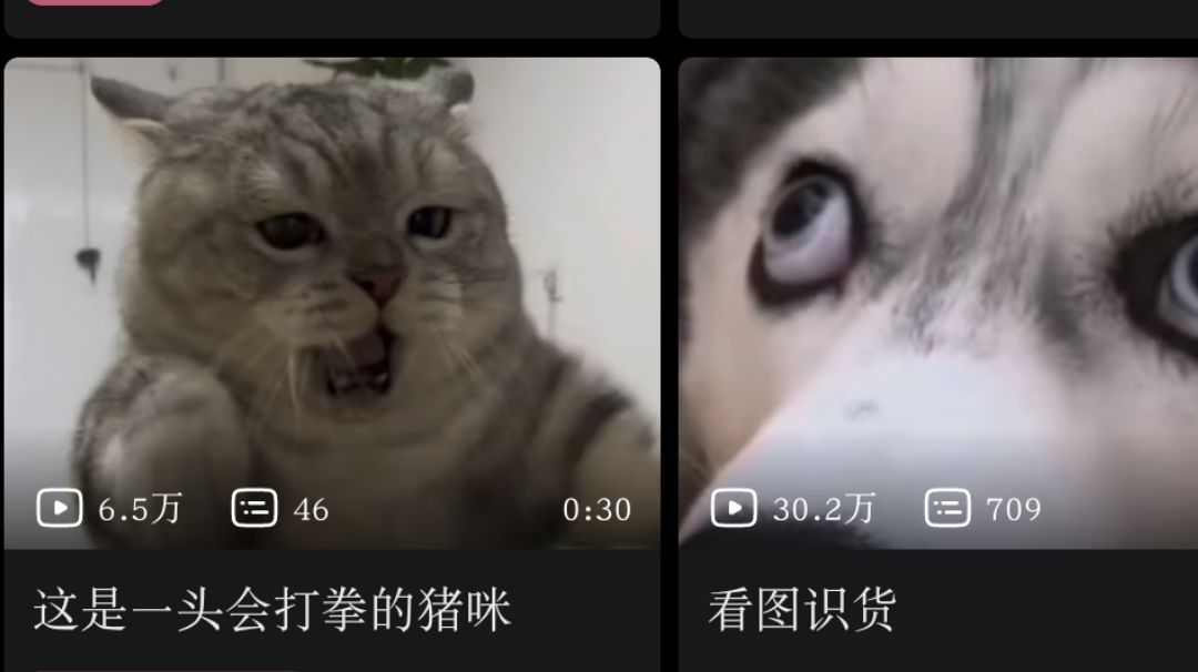video-3645777
