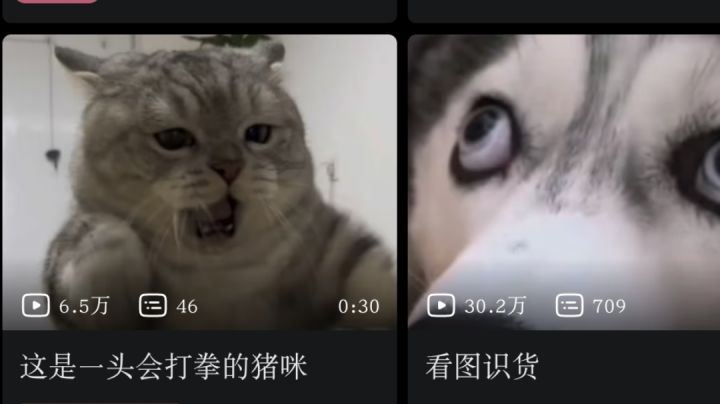 (28W)冰法+跳斩揍(36W)4星野猪王4星孔眼3星岩龙截图
