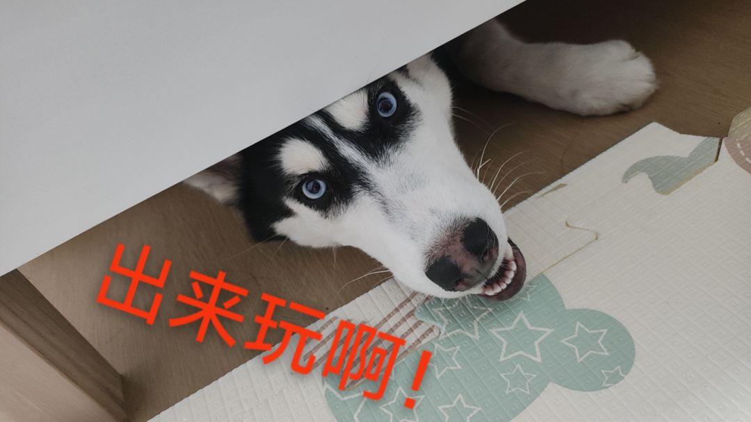 知错就改,了不起!(附新手开荒攻略) 1