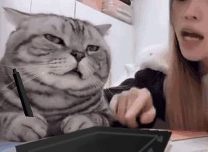 以前雷霆玩的，存档是不是没了截图