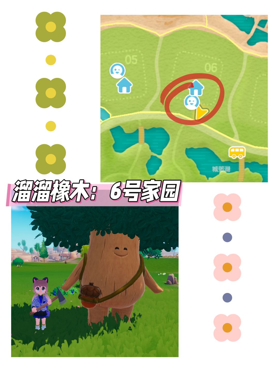 心动小镇日报(12.5)溜溜橡木+无暇萤石 3