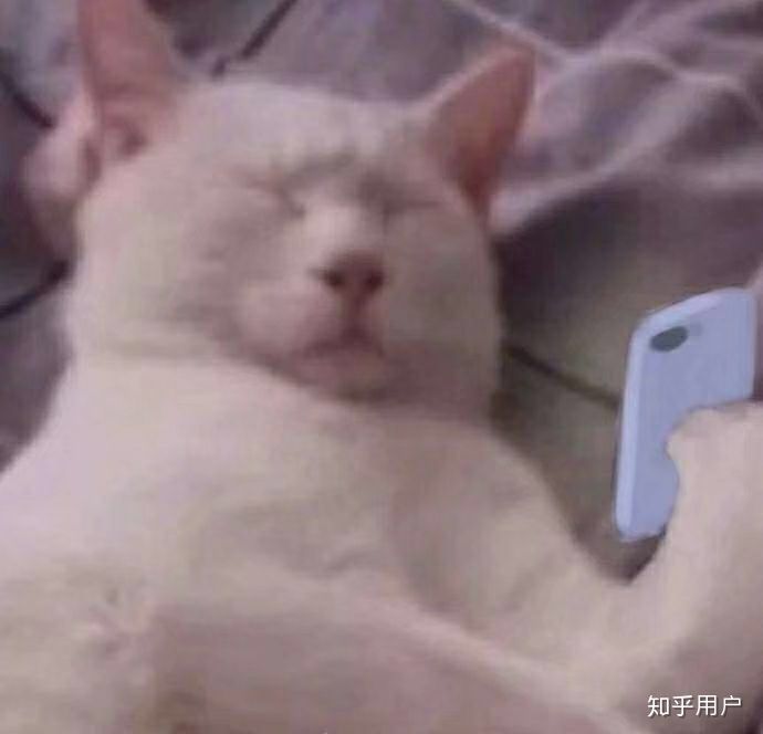 镇魂街天生为王,2月份公会排名实物奖励至今未发,找客服没有人搭理#玩家算个屁截图