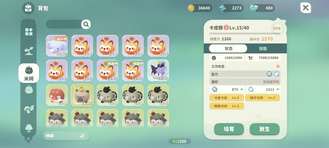 卡皮豚 1