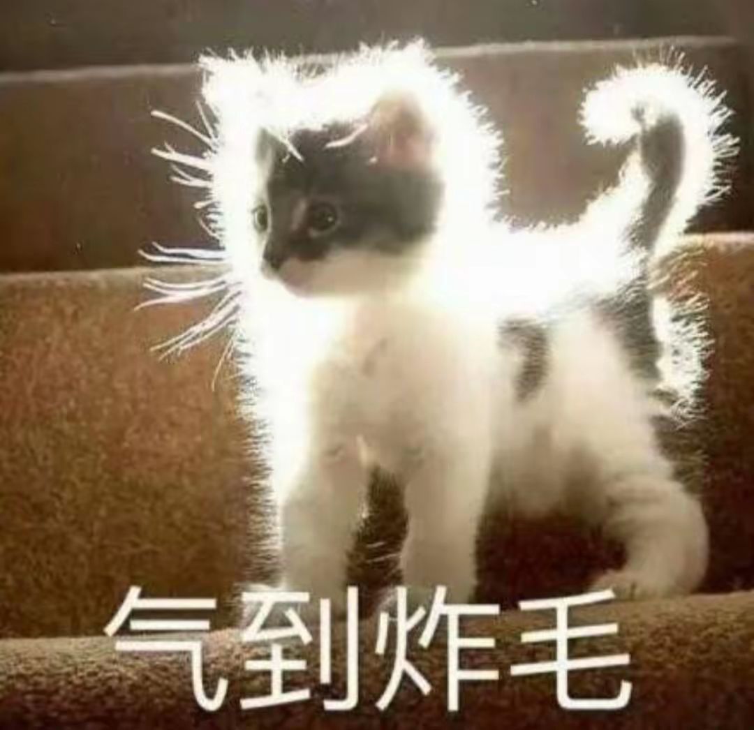我的存档为什么只剩一个了？ 6