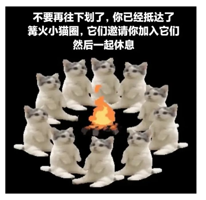书仙录可以剔除阴阳吗截图