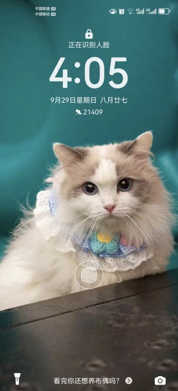 转职的一二事儿