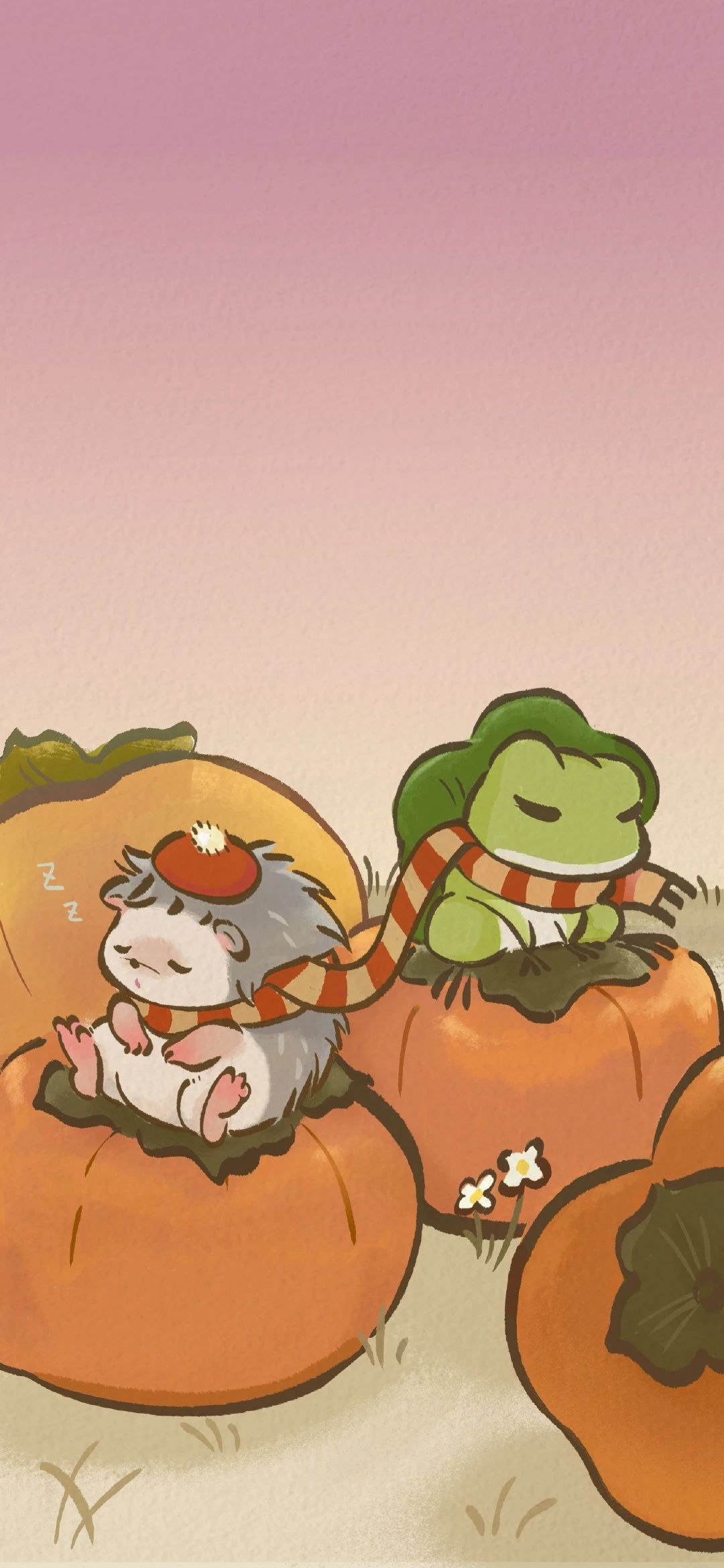新手的疑惑 2