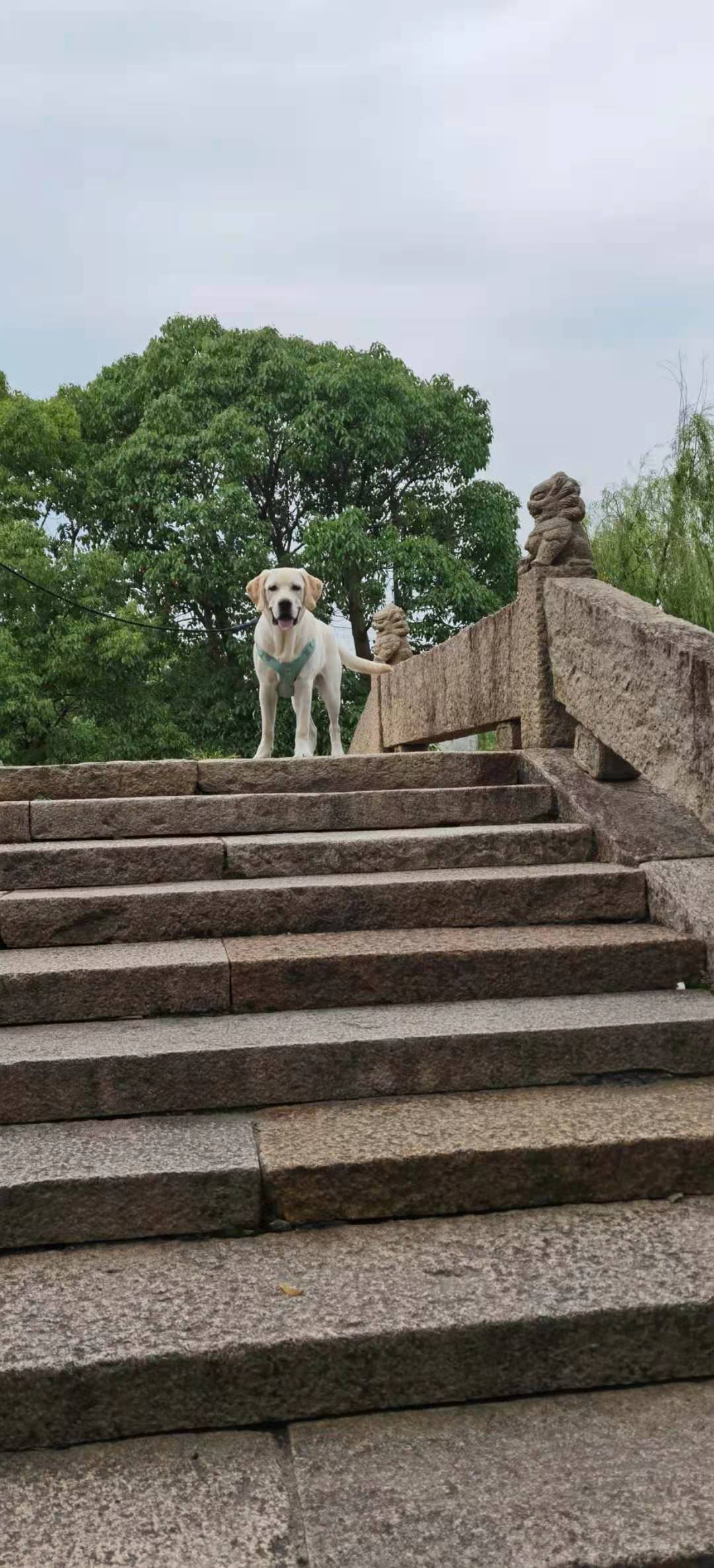 动态图片 5