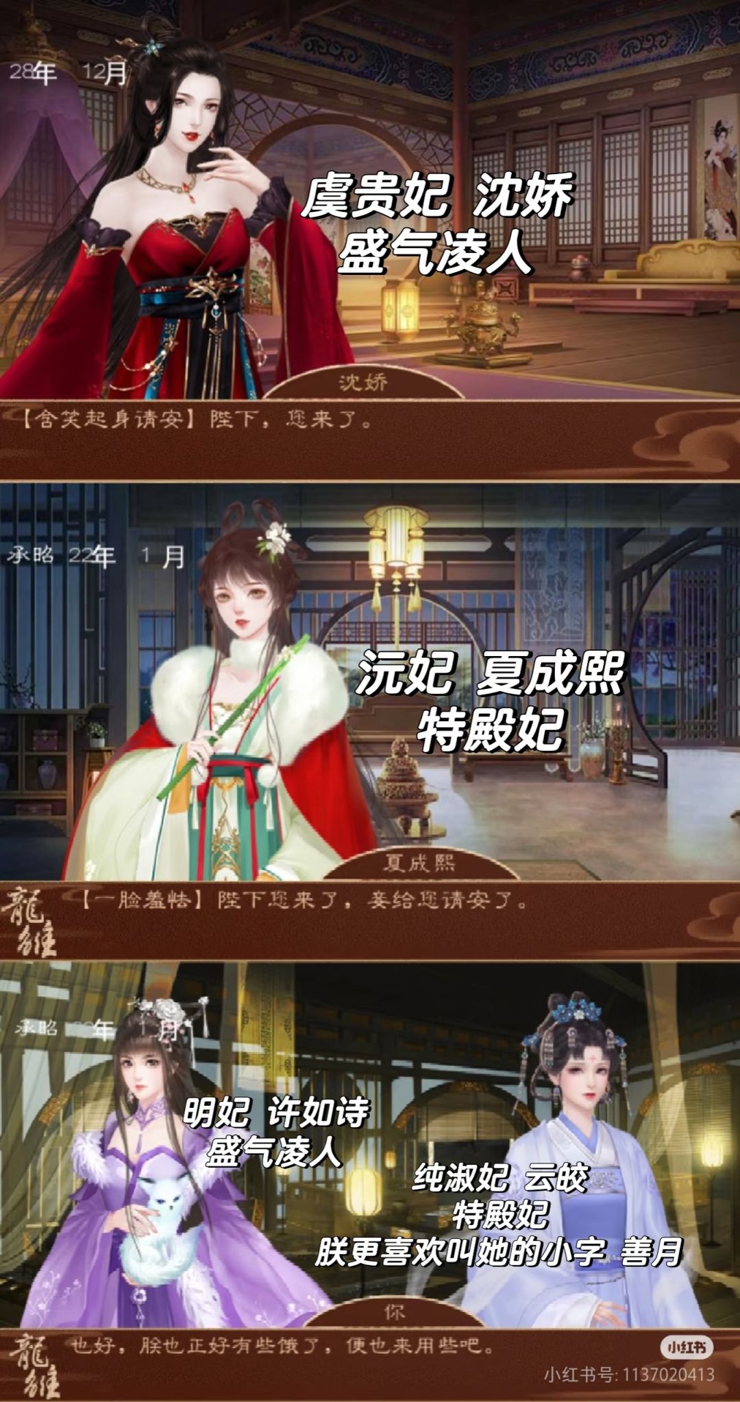 龙雏 2