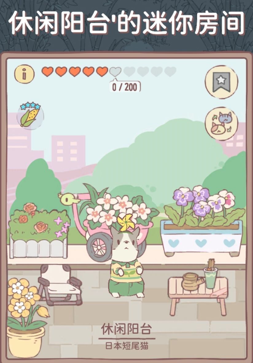 可爱猫猫2 9