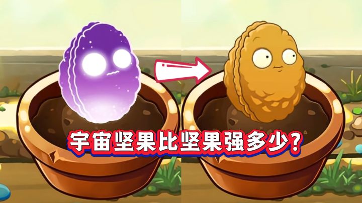绿卡宇宙坚果究竟有多强？截图