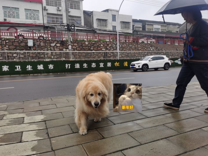 萌新想问问 新刀法给谁 怎么搭配[表情_微笑] 感觉效果可以截图