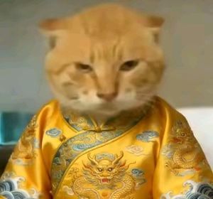 风之痕迹公会招募 2