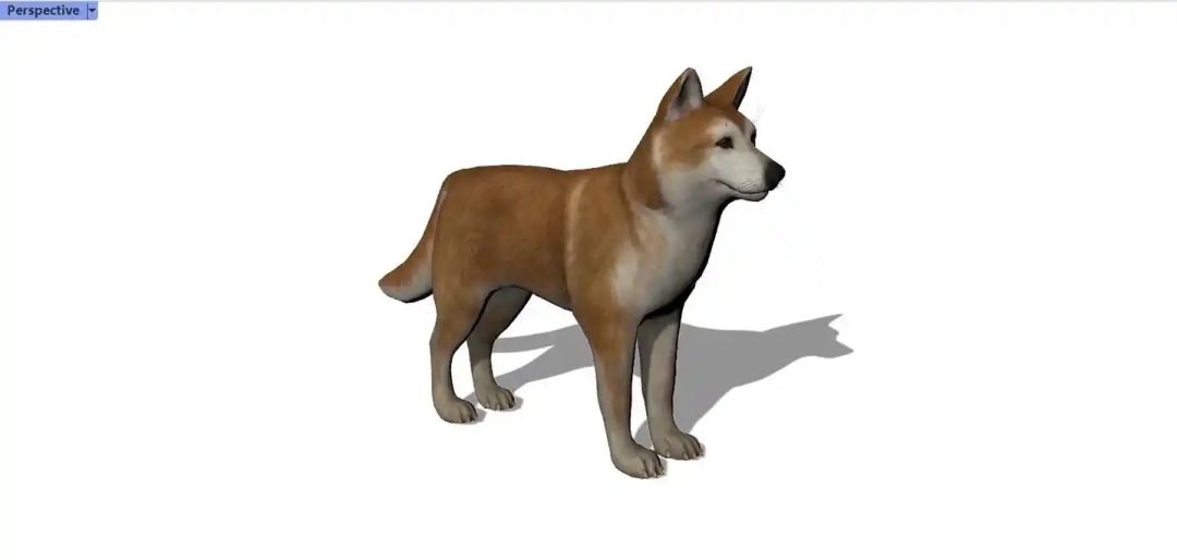 投稿宠物类型物品 宠物犬 1