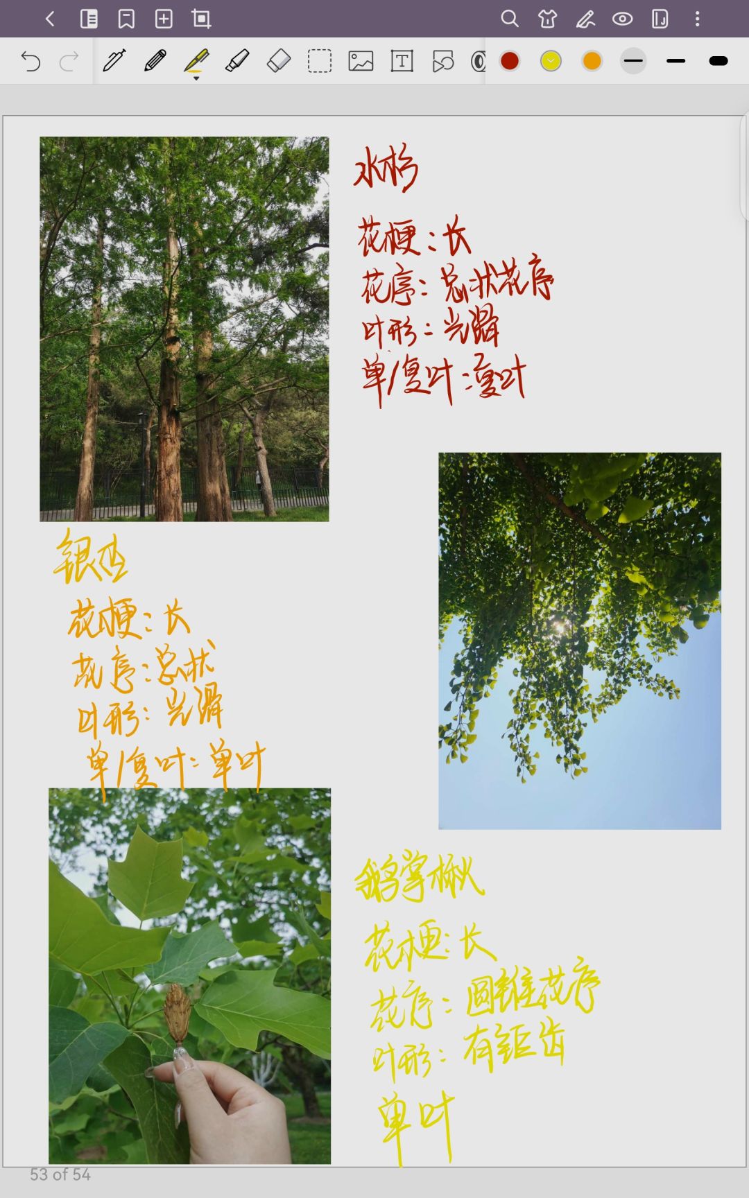 妙手拍花🌸 1