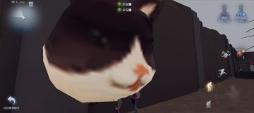 尊敬的第五人格的审核员及其工作人员： 
我之所以想申请体验服资格主要是有以下四个方面 ： 
第一，我想体验新地图新玩法新角色 如果有什么问题一定会第一时间反馈给官方 
第二，我十分热爱第五人格 ，从开服以来到现在，依然热爱 
第三，觉得《第五人格》这款游戏 制作很精美，如果提前体验新改动礼包然后好说下这些感受和不足然后改进让玩家有更好的游戏 
如果有幸能参加第五人格共研服，我将积极表达自己的看法并